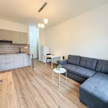 Simcity Vi I Park With Air Con, Garage,balcony And Self Check-in באנסקה ביסטריצה